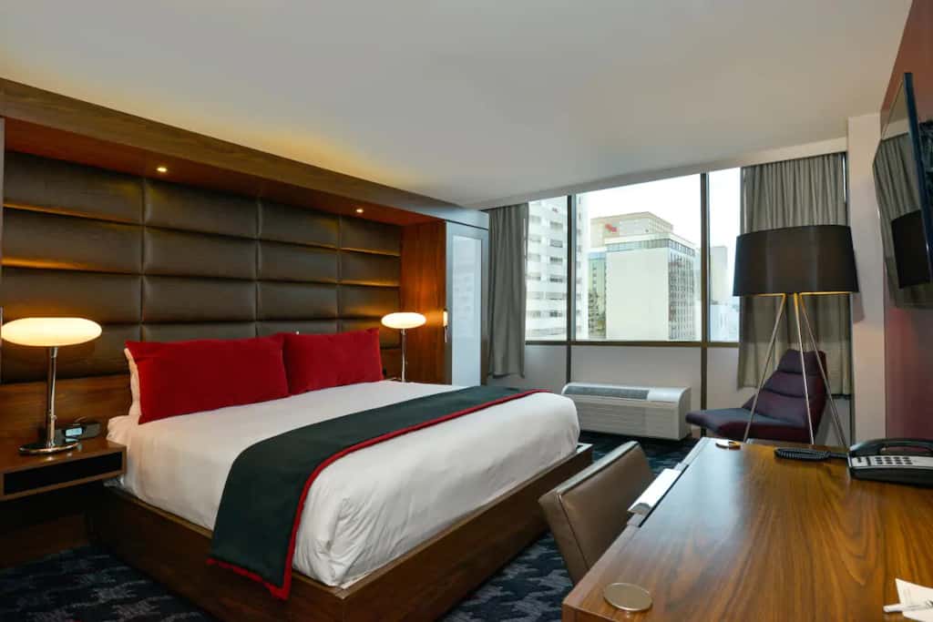The D Hotel Accommodations 4