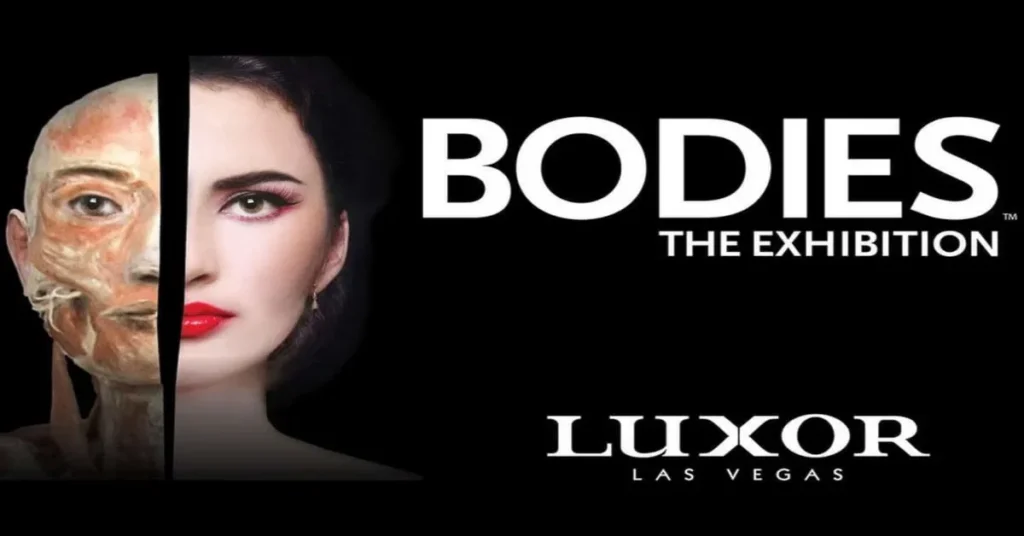 Bodies the Exhibition Las Vegas