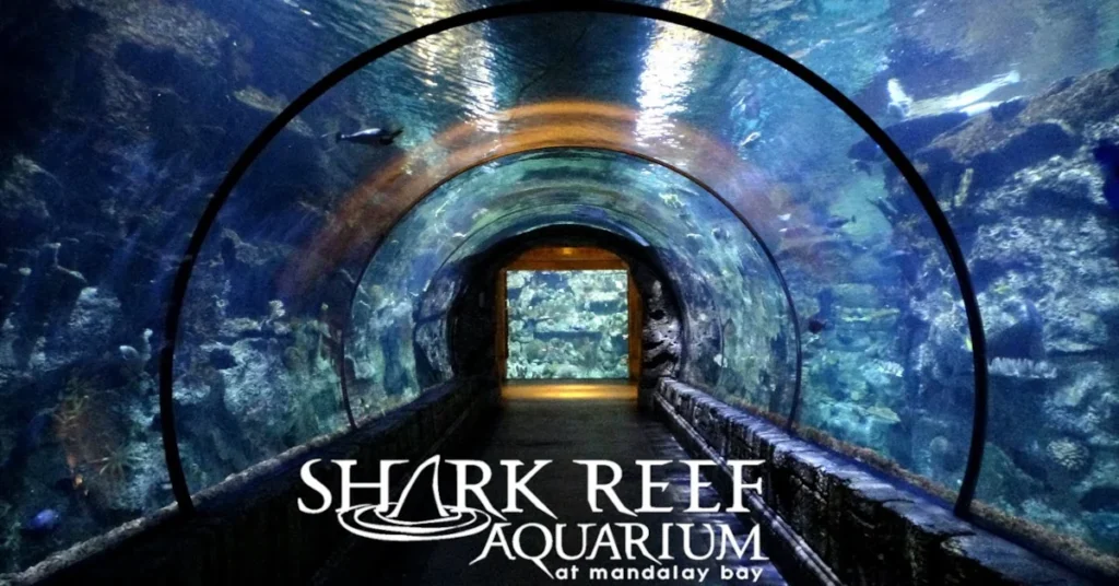 Shark Reef Aquarium Las Vegas