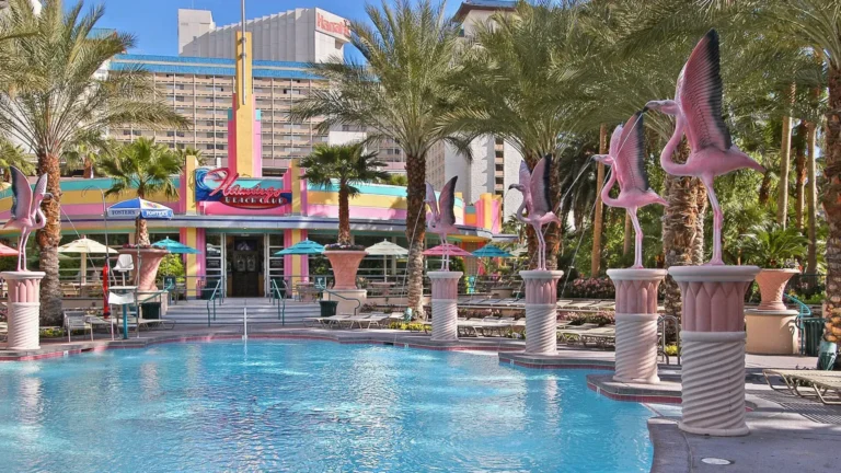 Flamingo Las Vegas Hotel Review: What to Expect Before You Book photo