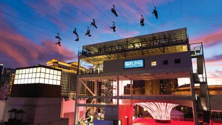Fly LINQ Zipline