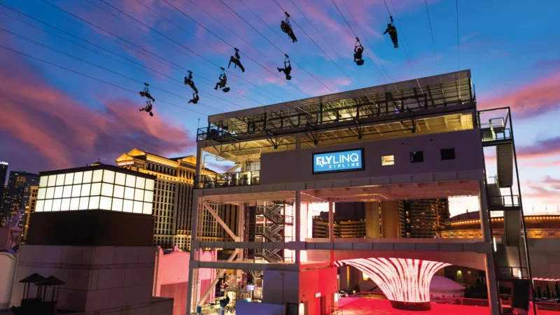 Fly LINQ Zipline