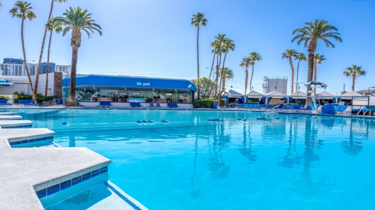 Horseshoe Las Vegas Hotel Review: What to Expect Before You Book photo