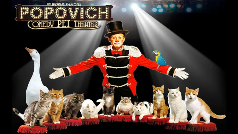 Popovich Comedy Pet Theater