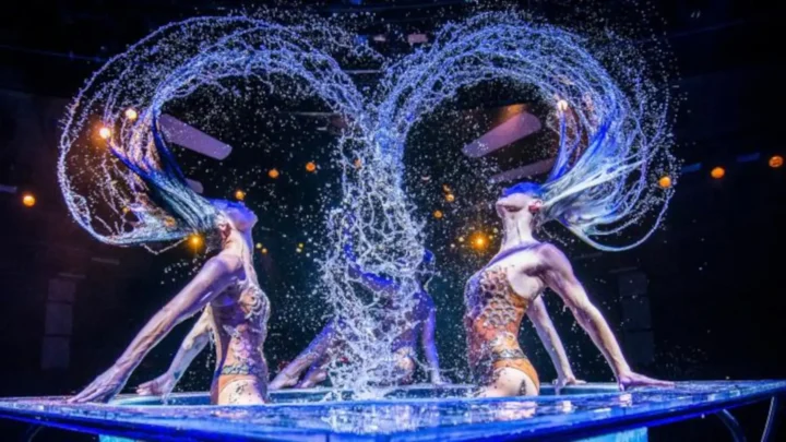 WOW – The Vegas Spectacular