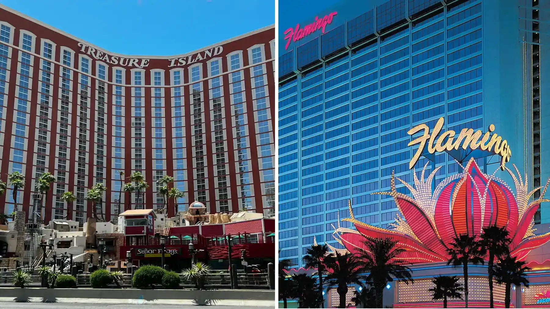 Treasure Island hotel and Flamingo Las Vegas hotel comparison