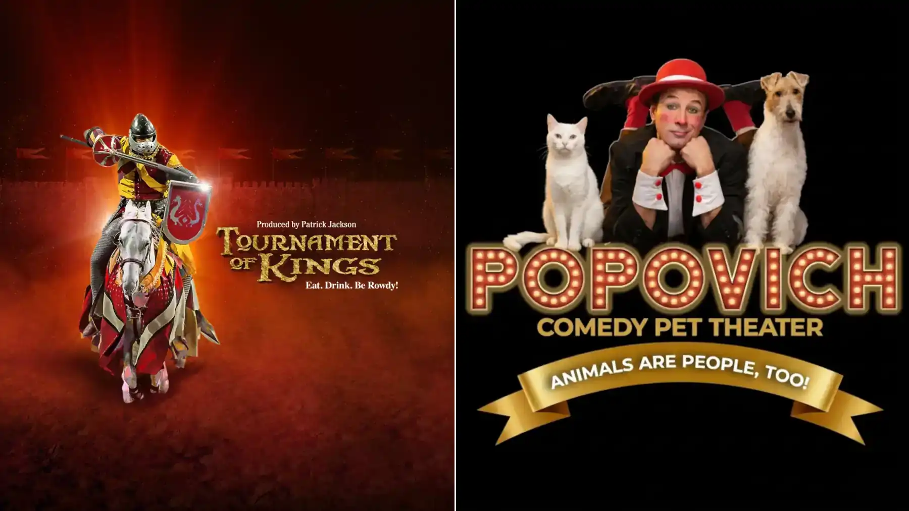 Tournament of Kings vs Popovich Comedy Pet Theater Las Vegas family show comparison