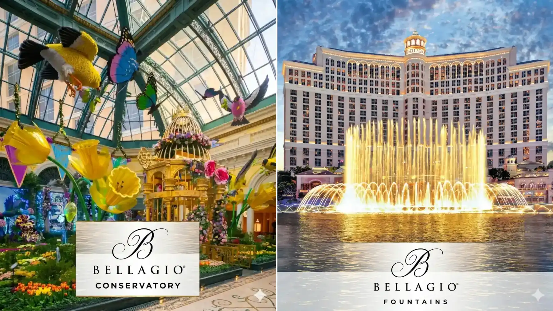 Bellagio Conservatory vs Bellagio Fountains Las Vegas free attraction comparison