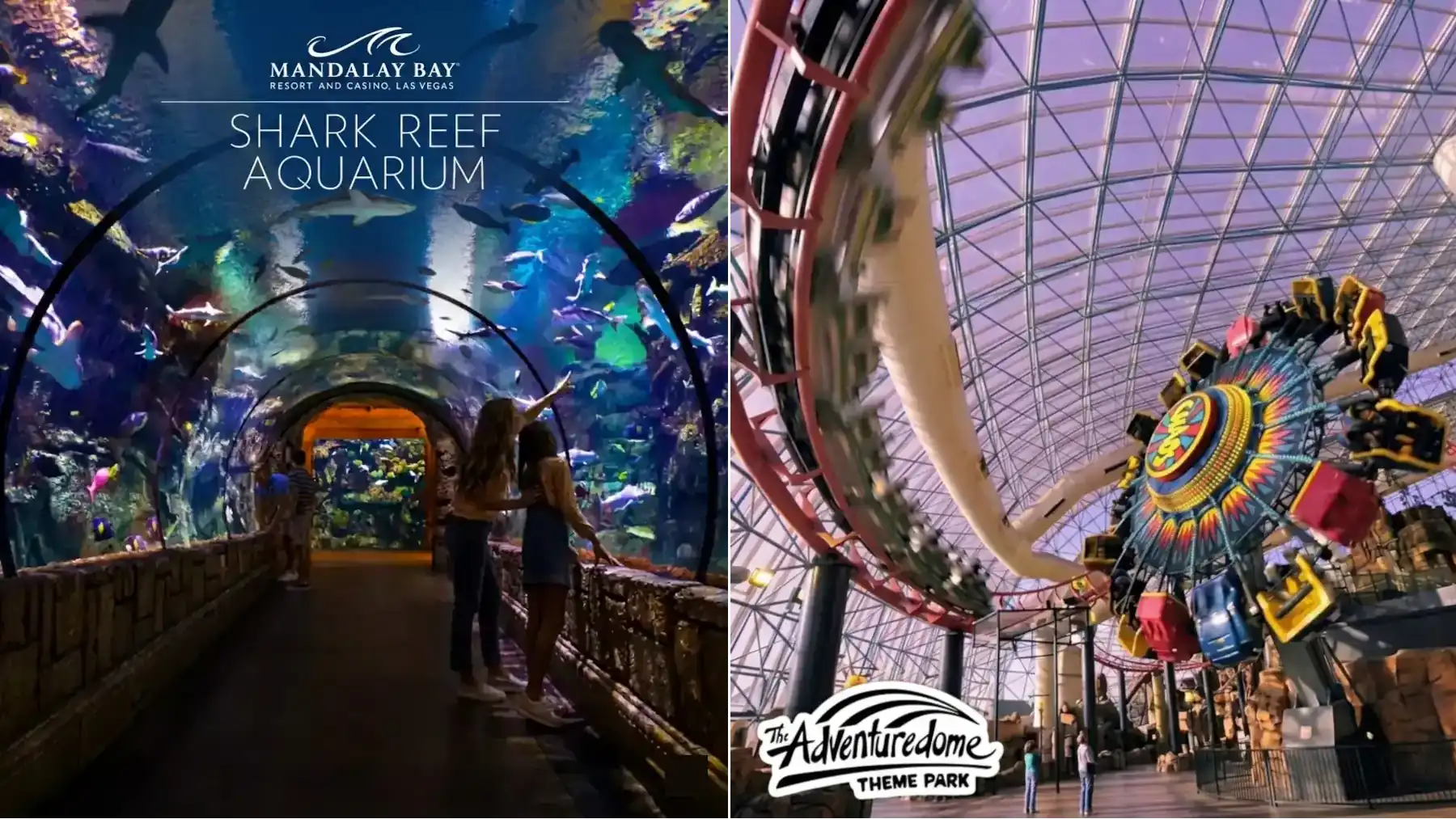 Shark Reef Aquarium vs Adventuredome Las Vegas family attraction comparison