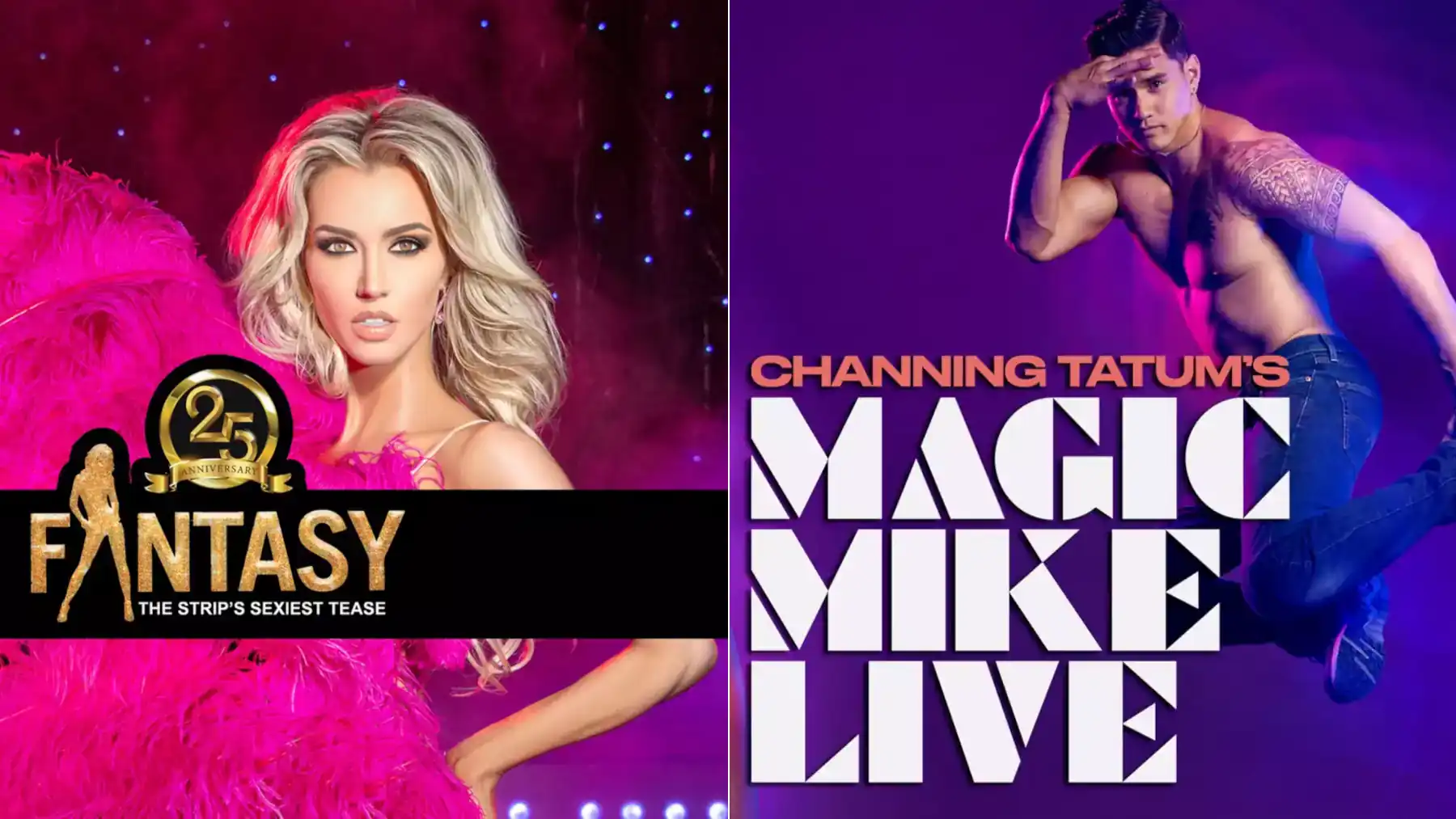 Fantasy vs Magic Mike Live Las Vegas adult show comparison