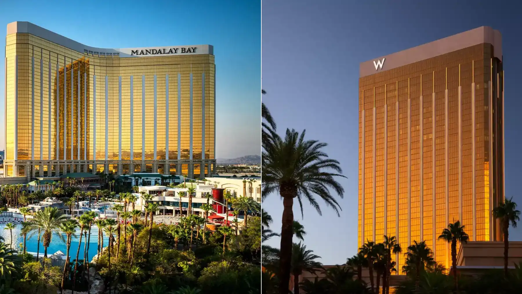 Mandalay Bay and W Las Vegas hotel comparison