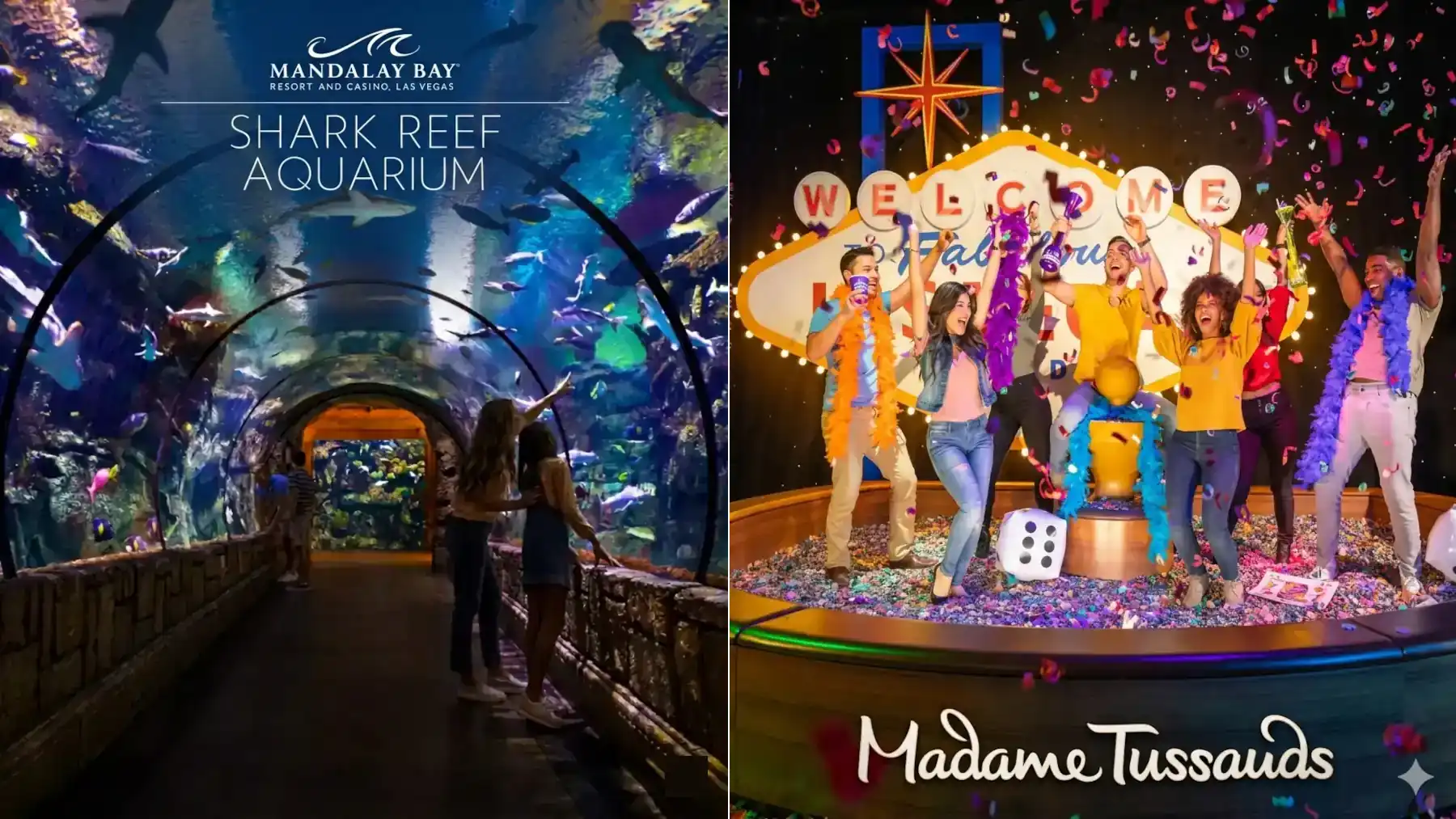 Shark Reef Aquarium at Mandalay Bay and Madame Tussauds Las Vegas